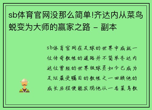 sb体育官网没那么简单!齐达内从菜鸟蜕变为大师的赢家之路 - 副本